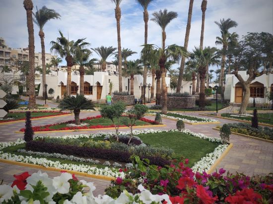 ZYA赫爾格達雷吉娜水上公園度假村優惠