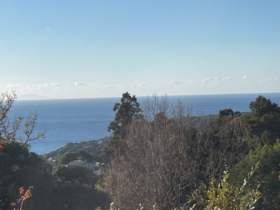 八幡野温泉郷 杜の湯 きらの里 クーポン