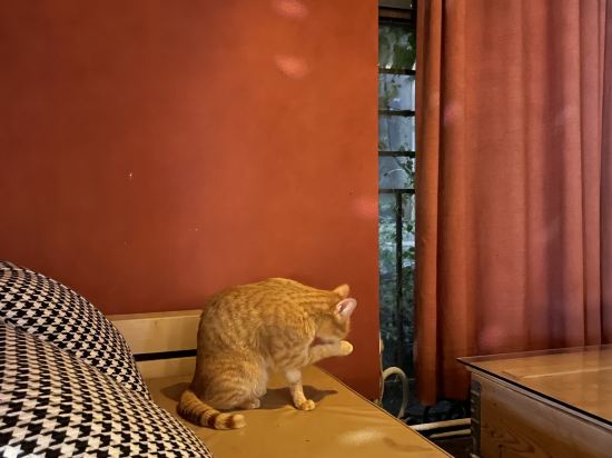 圈圈裡·海濱花園度假民宿（深圳大鵬較場尾店）優惠