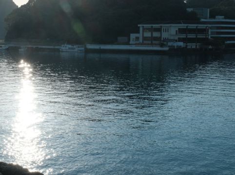 南紀・白浜温泉 龍鳳苑 クーポン