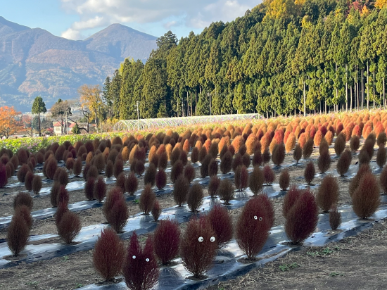 豬苗代翼塔樓李斯特飯店優惠