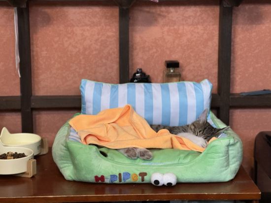 北京呆住幽蘭飯店（天安門王府井店）優惠