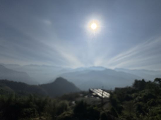 阿里山梅園樓觀景飯店優惠