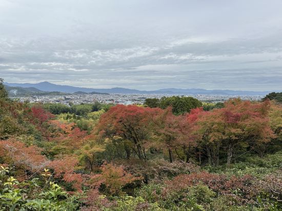 M’s Plus 四條大宮酒店優惠