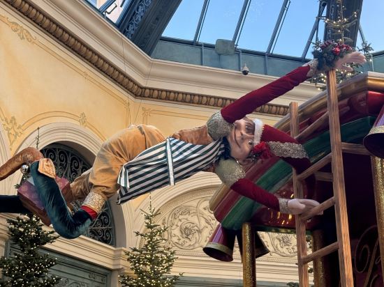 拉斯維加斯百樂宮酒店優惠