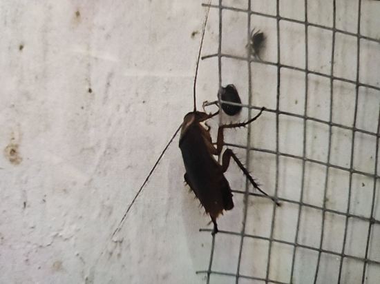 香港經濟型飯店 （家庭旅館）優惠