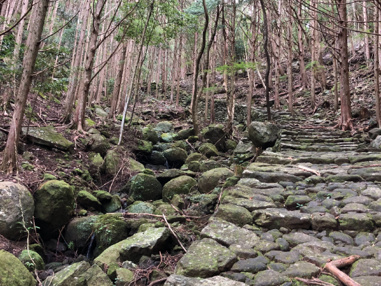 世界遺産リゾート　熊野倶楽部 クーポン