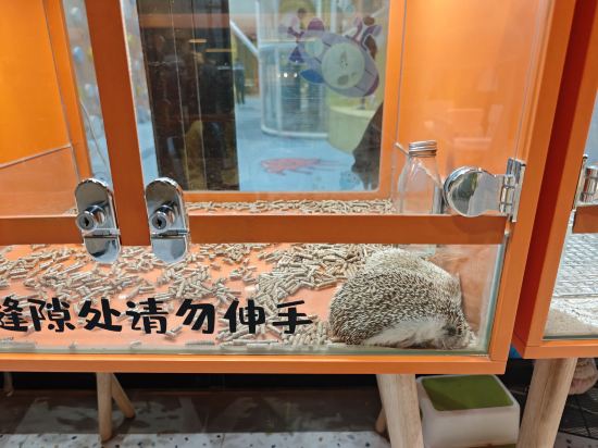 深圳佳兆業萬豪酒店優惠