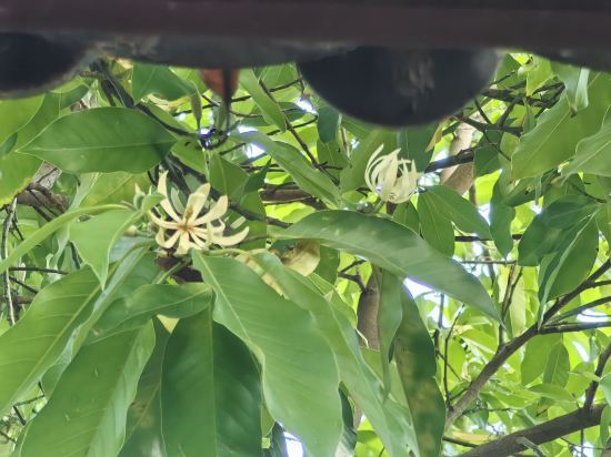 麗江古城瀾舍設計師公館客棧優惠