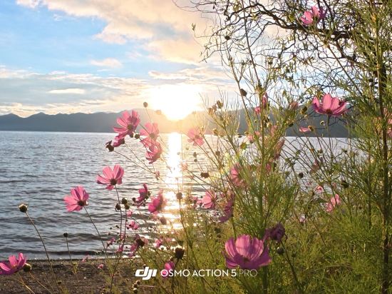 瀘沽湖起點棧客棧優惠