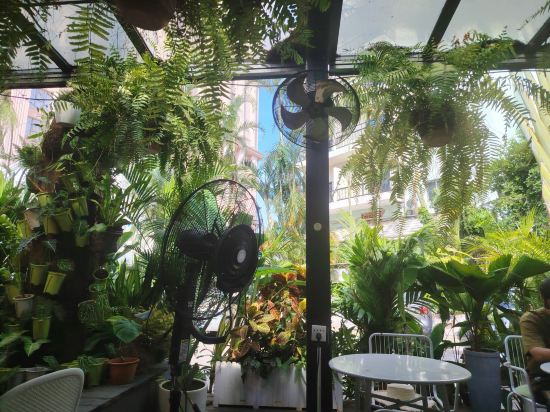 三亞背包客國際青年旅舍優惠