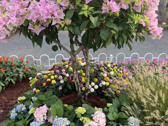 詩藝城棧（廣州塔店）優惠