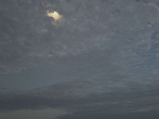 廈門悅來海景飯店優惠