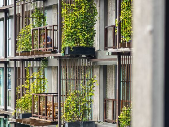 布吉丁索度假村 （SHA Extra Plus）優惠