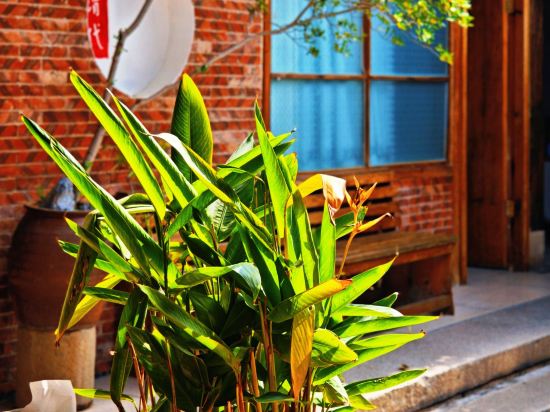 泉州上清樓·清代庭院客棧優惠