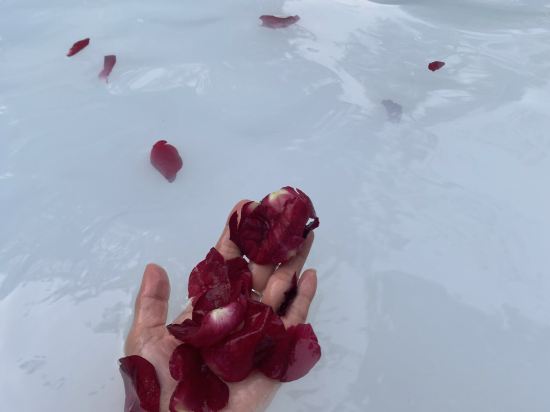 佛山美的鷺湖嶺南花園酒店優惠