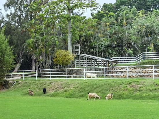 香港長洲西園優惠