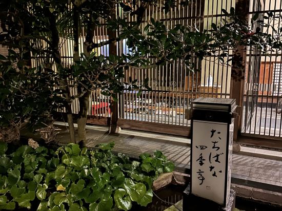 たちばな四季亭 クーポン