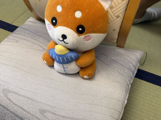 下呂溫泉山形屋優惠