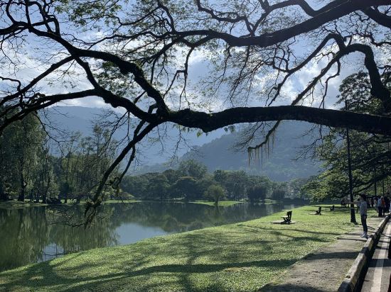 太平金輝酒店優惠