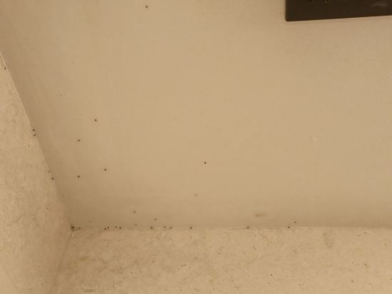 新山市中心度假別墅優惠