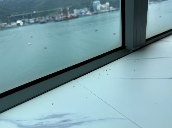 香港汀蘭居優惠