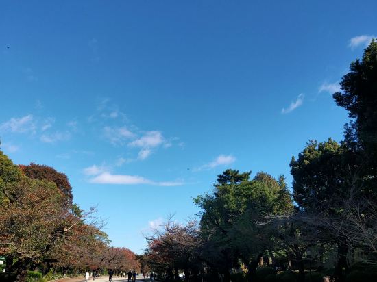 1號房客飯店-上野站優惠