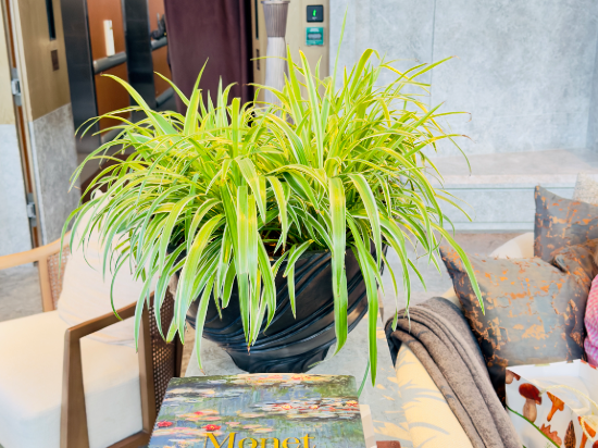 香港瑞吉酒店優惠