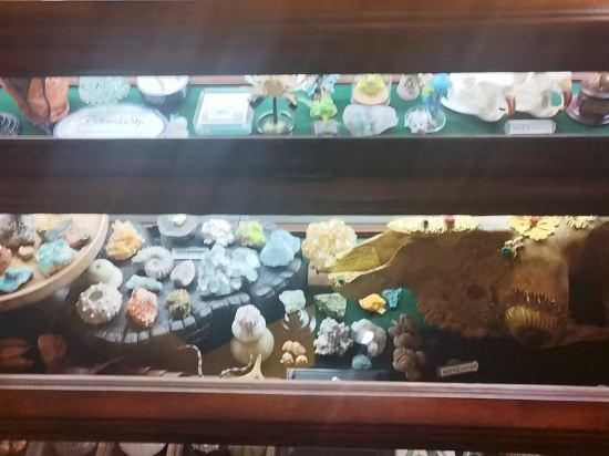 神祕圖鑒·SecretLand飯店（中山路步行街輪渡碼頭店）優惠