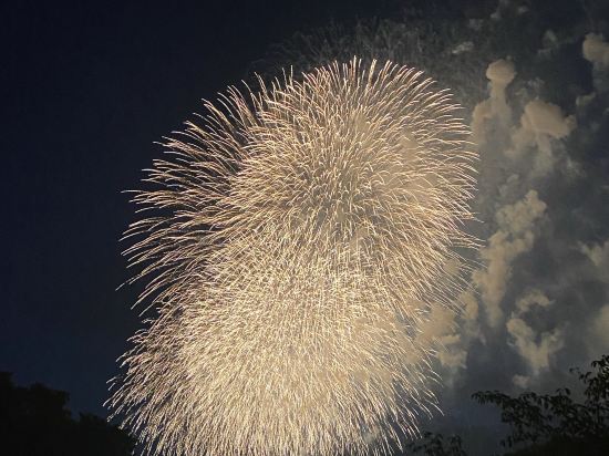 袖浦站北東橫 INN優惠