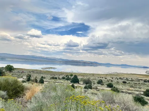 Tioga Lodge at Mono Lake Dekat Hotel Photos