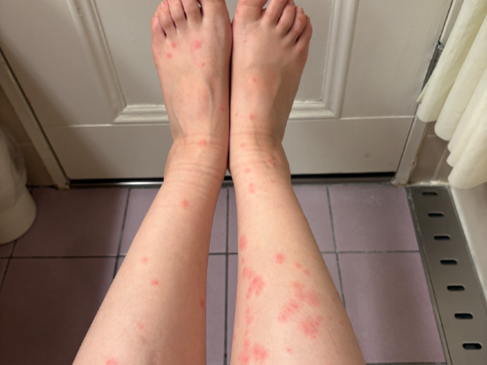 久住高原小屋飯店優惠