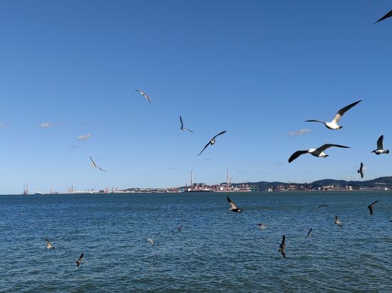 威海希爾維亞飯店優惠