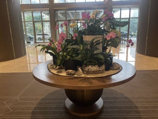 海口索菲特大酒店優惠