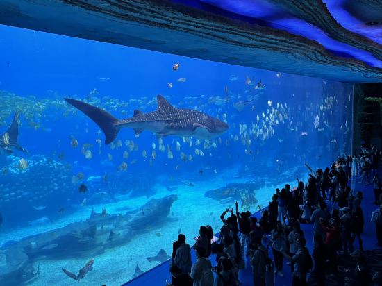 維也納酒店（珠海橫琴口岸海洋王國店）優惠