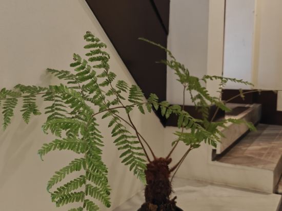 普陀山開元觀堂優惠