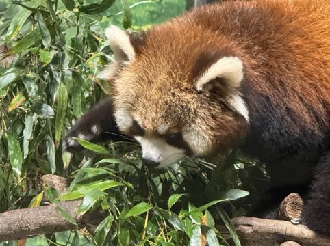 南京紫清湖温泉度假酒店優惠