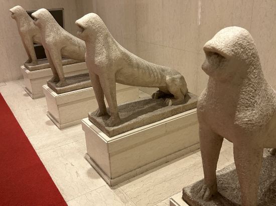 ホテル大野屋 クーポン