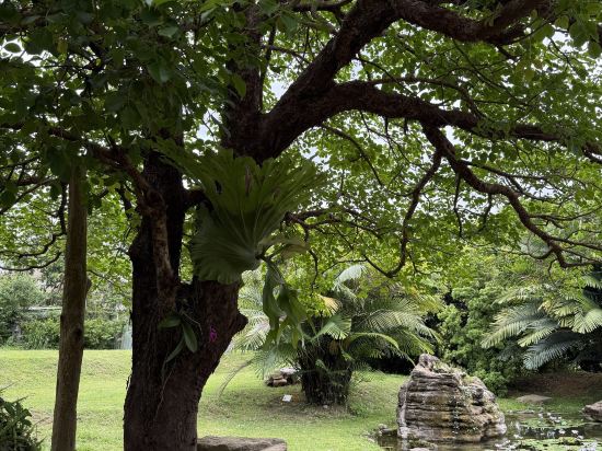 五柳園休閒農場優惠