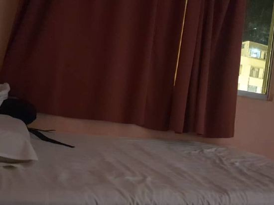 迎碧安娜珍珠酒店優惠