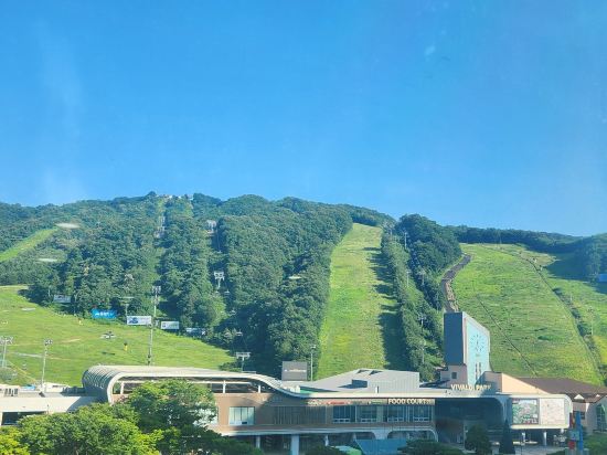 비발디 파크 쿠폰