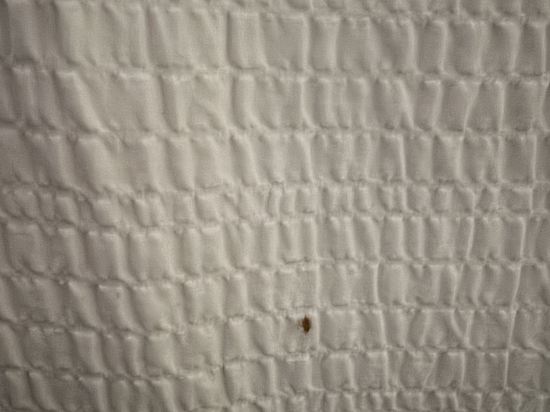 桑德曼標誌米西索加酒店優惠