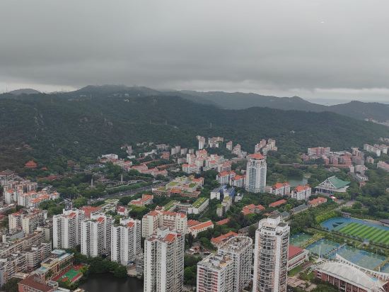 廈門世茂雙子塔地標海景飯店公寓優惠