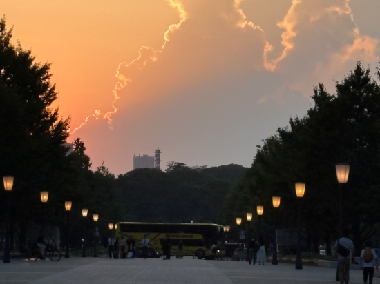 カンデオホテルズ東京新橋 クーポン