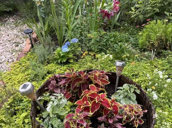 富良野ナチュラクスホテル クーポン