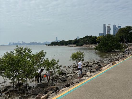 深圳弘都飯店（南山地鐵站店）優惠