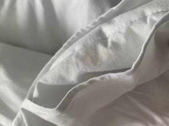 瑞士貝林現代芝坎德酒店優惠