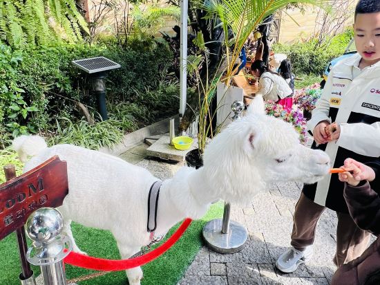 西雙版納稷澤萬達文華度假酒店優惠