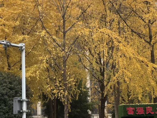 羅斯福服務公寓（重慶解放碑洪崖洞店）優惠