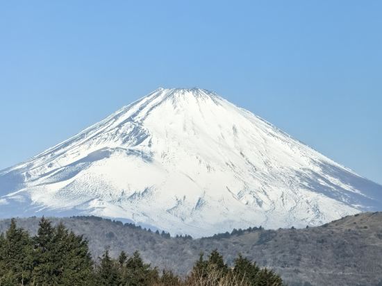 ホテルグリーンプラザ箱根 クーポン